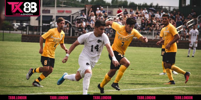 Các loại kèo rung phổ biến hiện nay